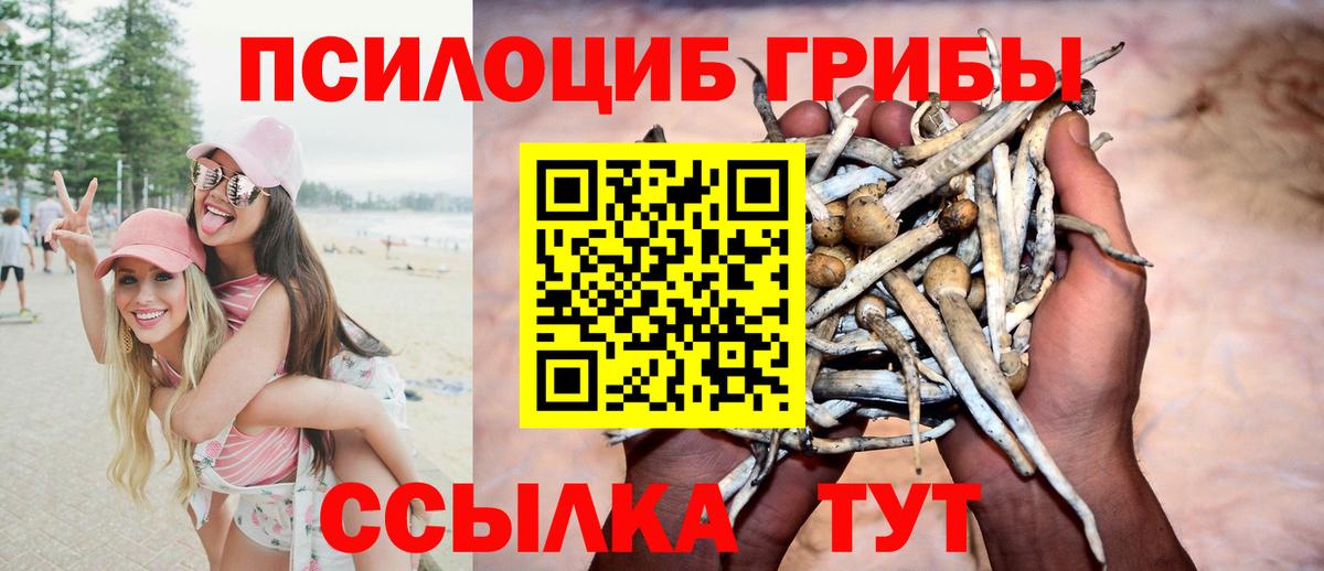 Анапа  Псилоцибиновые грибы Cubensis  Вход с VPN 