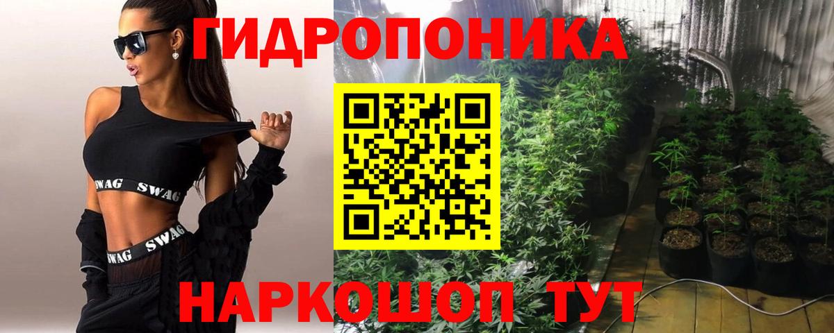 Каннабис план Анапа